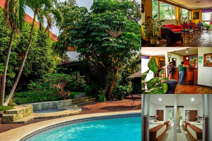 Novo Hotel & Suite photo collage