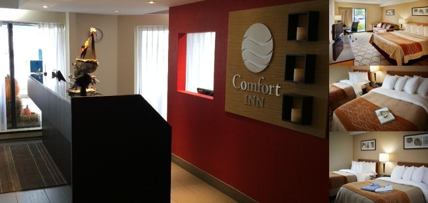Comfort Inn Airport East Ancienne Lorette photo collage