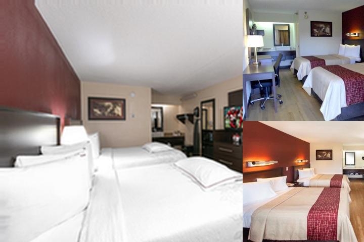 Red Roof Inn PLUS+ Washington DC - Rockville photo collage