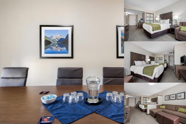 Comfort Inn & Suites photo collage