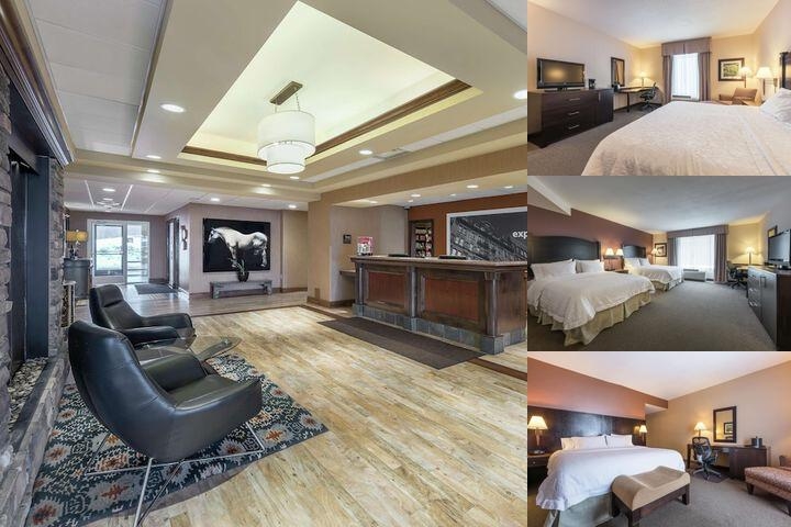 Hampton Inn & Suites by Hilton Moncton photo collage