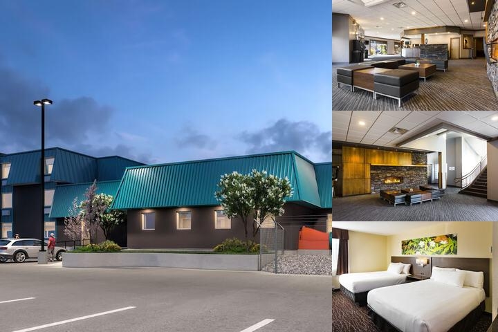 Prince Albert Inn photo collage