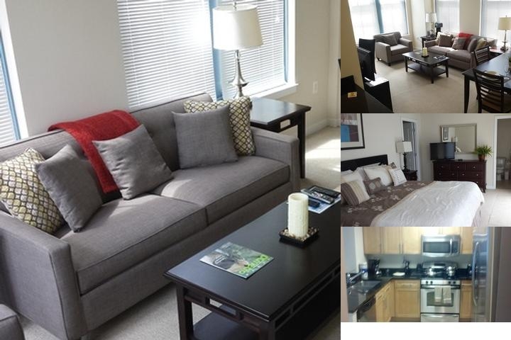 Madison Furnished Apartments Arlington Va photo collage