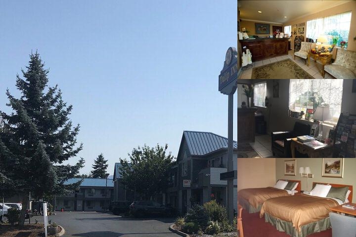 Tulip Inn photo collage