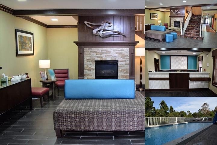 Spark by Hilton Destin photo collage