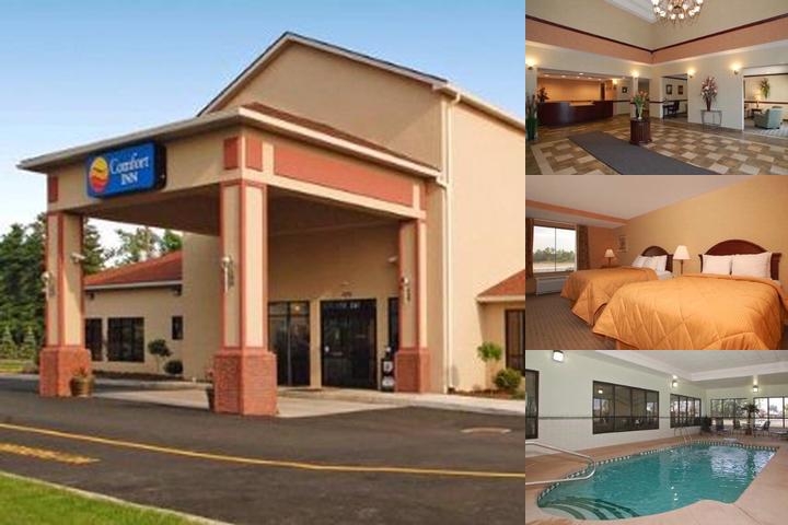 Quality Inn Near Walden Galleria Mall photo collage