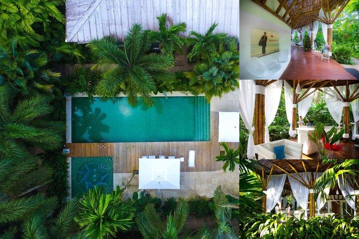 Le Cameleon Puerto Viejo photo collage