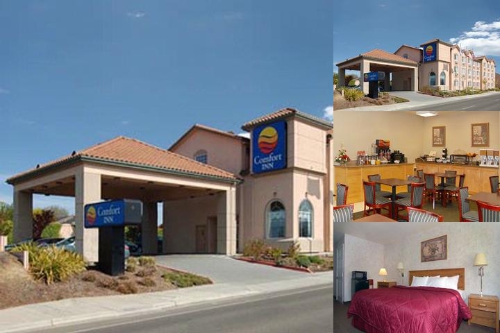 Comfort Inn Watsonville photo collage