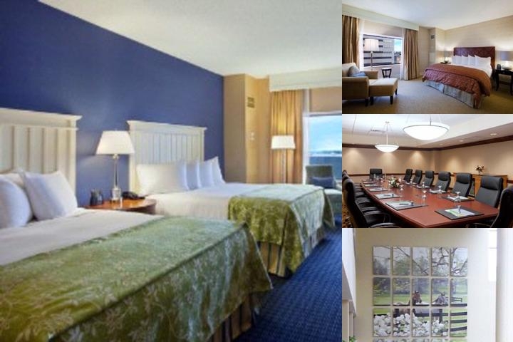 Hilton Lexington/Downtown photo collage