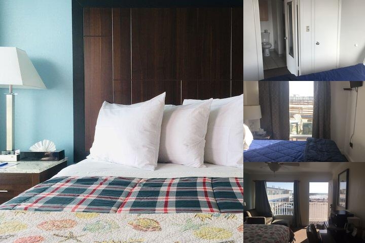 Dolphin Cove Motel photo collage