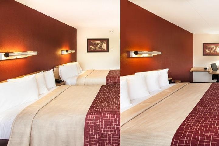 Red Roof Inn Detroit - Dearborn/Greenfield Village photo collage