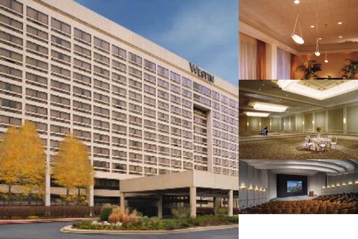 The Westin O'hare photo collage