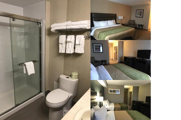 Port Hope Inn photo collage