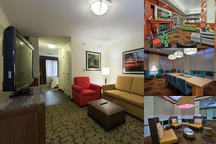 Hilton Garden Inn Lafayette / Cajundome photo collage