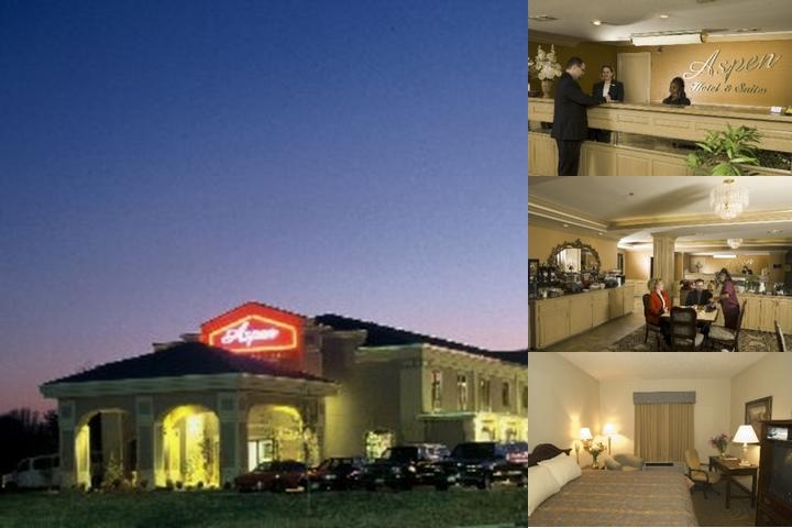 Best Western Aspen Hotel photo collage