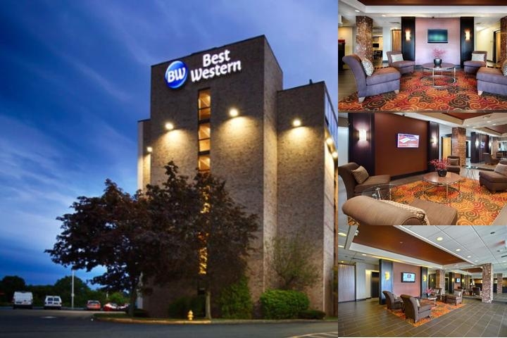 Best Western Executive Hotel of New Haven-West Haven photo collage