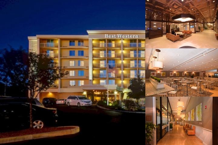 Best Western Plus Waltham Boston photo collage