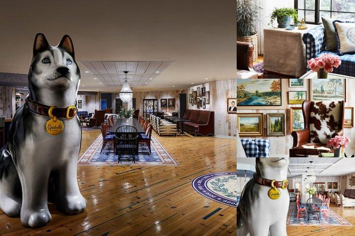Graduate by Hilton Storrs photo collage
