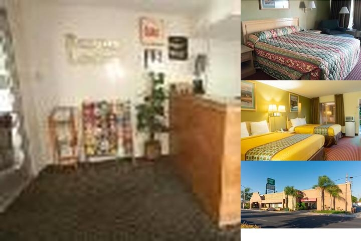 Sequoia lodge photo collage