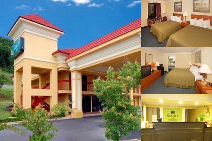 Quality Inn Dalton Central photo collage