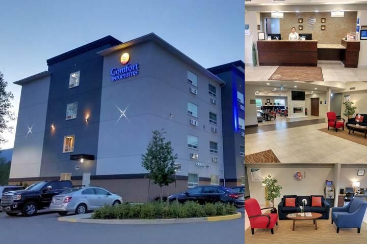 Comfort Inn & Suites Terrace photo collage