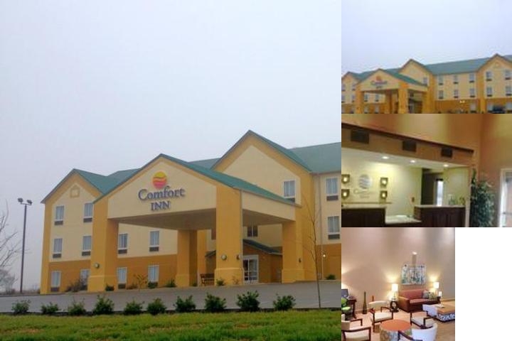 Comfort Inn Lexington South photo collage