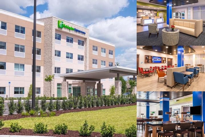 Holiday Inn Express & Suites Tampa North Wesley Chapel An Ihg photo collage