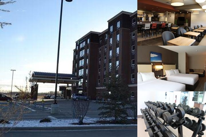 Holiday Inn Express & Suites Cold Lake by IHG photo collage