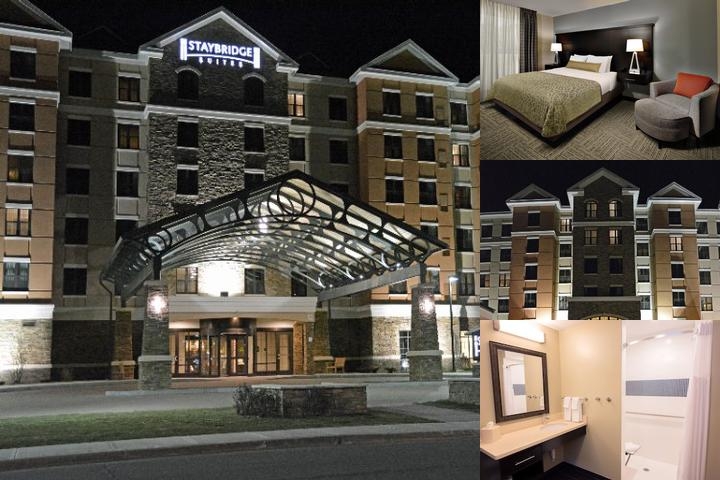Staybridge Suites Albany Wolf Rd-Colonie Center by IHG photo collage