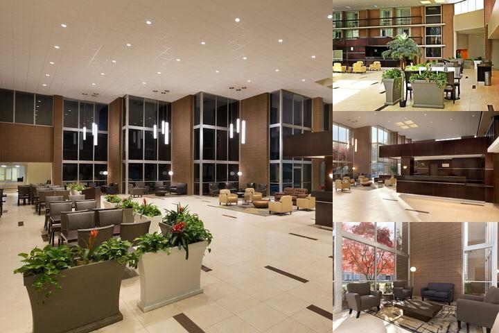 Clarion Inn Sheffield Muscle Shoals photo collage