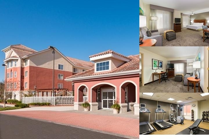 Homewood Suites by Hilton Jacksonville-South/St. Johns Ctr. photo collage