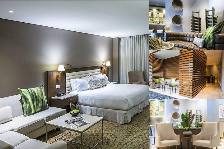 Hotel Chico Parque 93 By OxoHotel photo collage