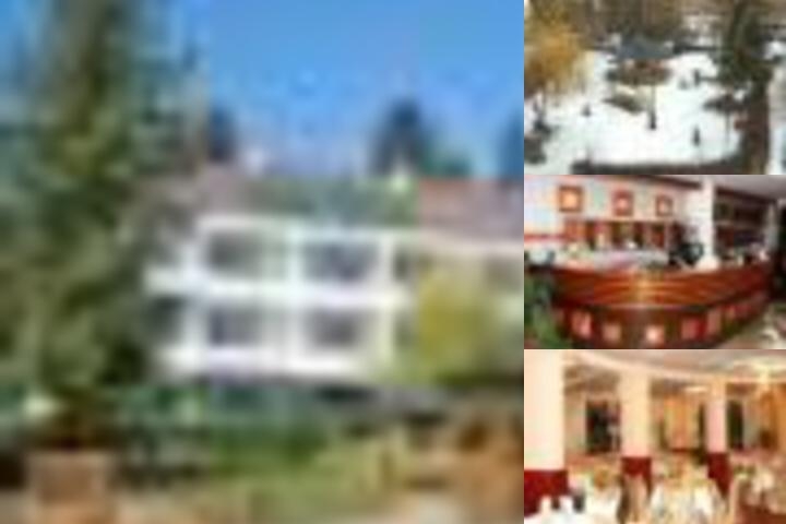 Hotel Park photo collage