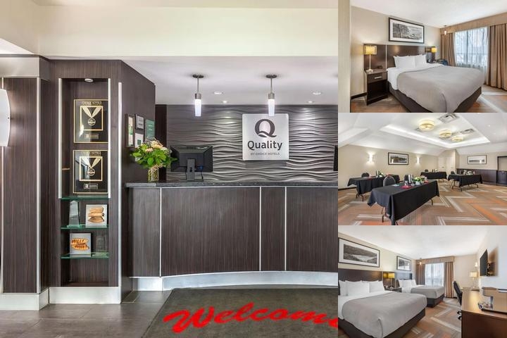 Quality Hotel photo collage