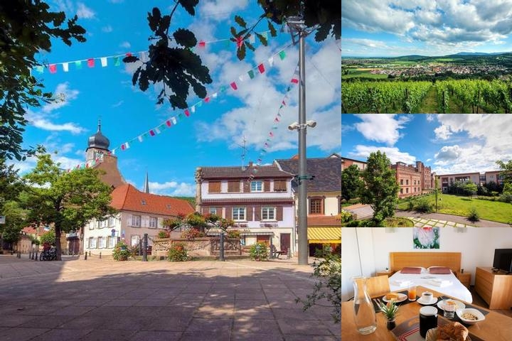 Comfort Aparthotel Mutzig Portes D'alsace photo collage