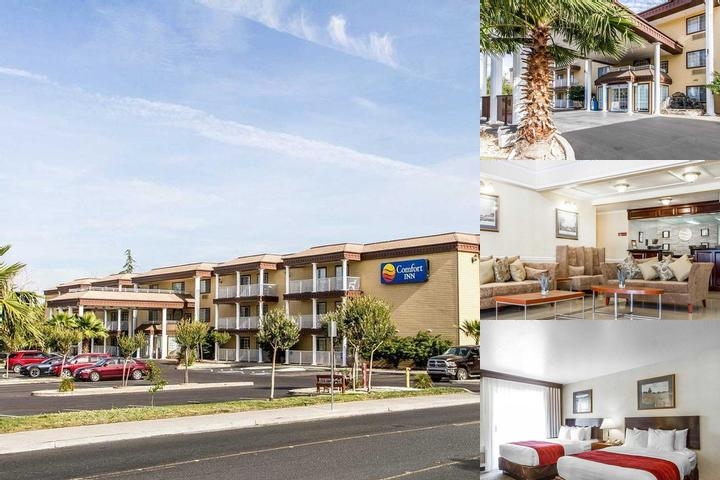 Comfort Suites photo collage