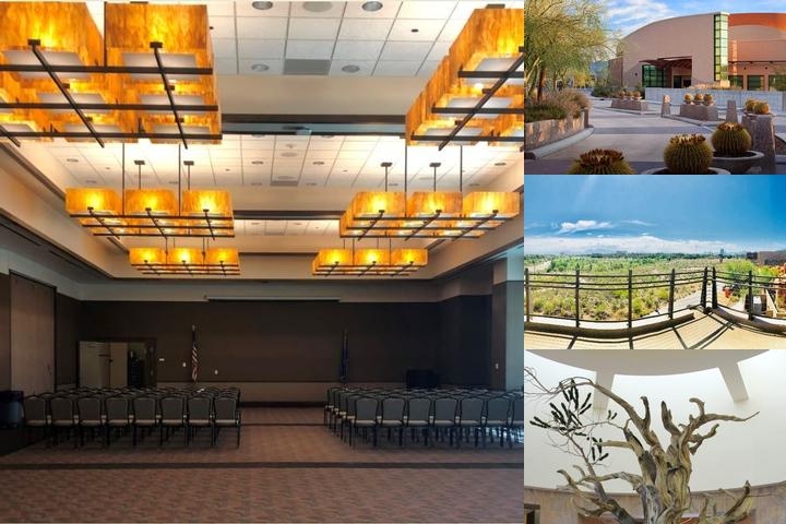 Nevada State Museum Las Vegas photo collage