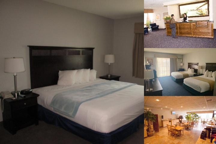 The Avenue Hotel photo collage