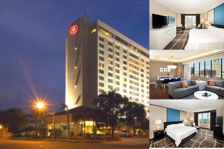 Hilton St. Petersburg Bayfront photo collage