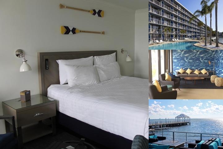 The Godfrey Hotel & Cabanas Tampa photo collage