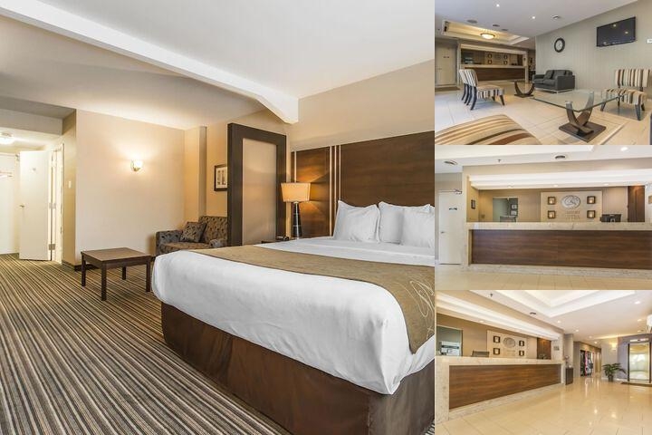 Comfort Suites Downtown photo collage