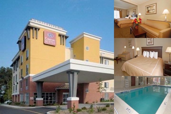 Comfort Suites Seaford photo collage
