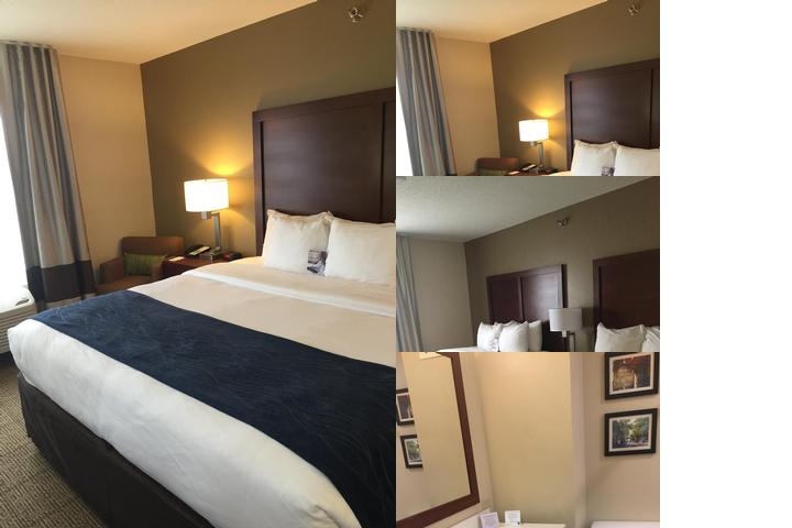 Comfort Inn Danvers - Boston North Shore photo collage