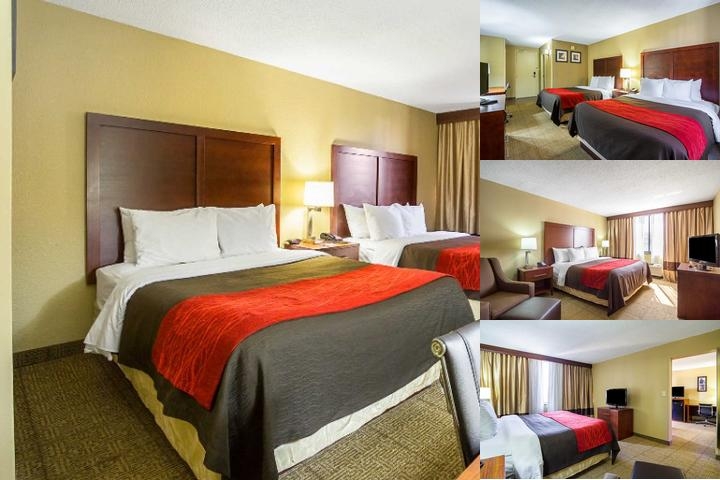 Comfort Inn Cleveland Downtown photo collage