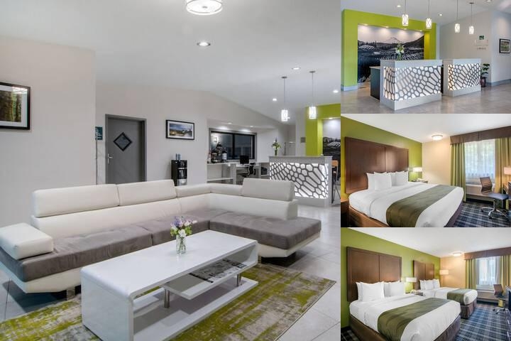 Quality Inn & Suites Albany Corvallis photo collage