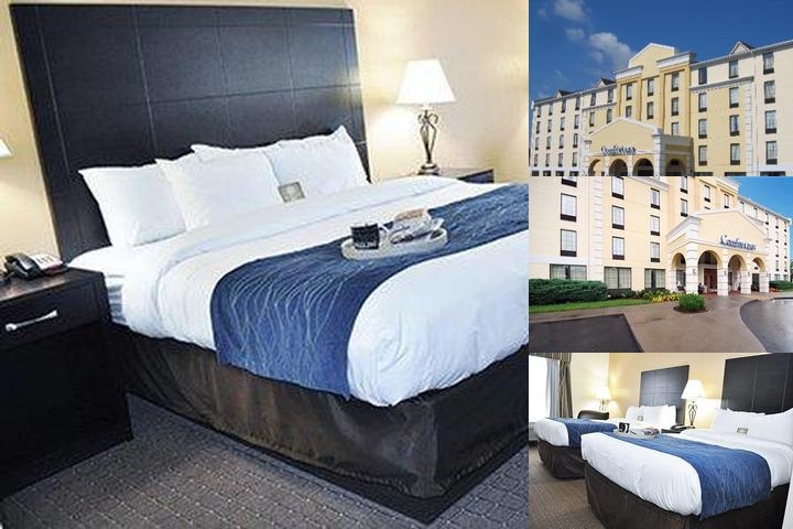 Comfort Inn Oak Ridge - Knoxville photo collage