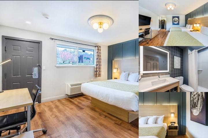 Ardsley Acres Hotel Court photo collage