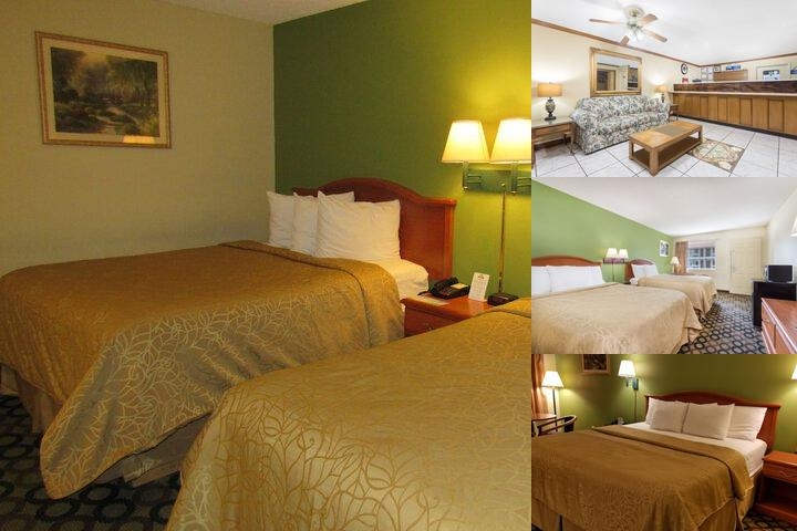 Economy Inn by OYO Ashburn I-75 photo collage