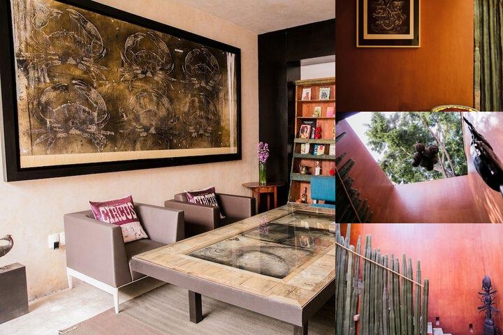 Casa Carmen Reforma photo collage