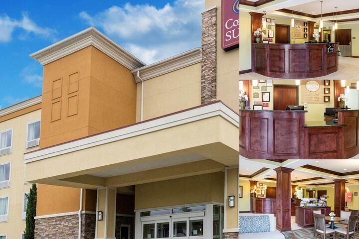 Comfort Suites Harvey - New Orleans West photo collage